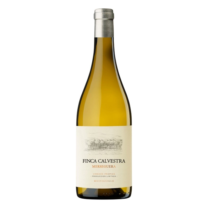 Botella de Finca Calvestra